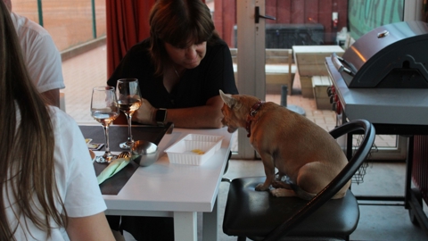 Veteranendag 2023 W (07)