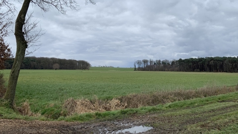 Winterwandeling 2023 W (08)