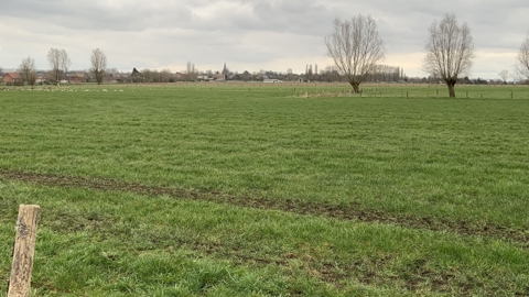 Winterwandeling 2023 W (41)