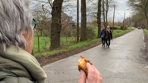 Winterwandeling 2023 W (15)