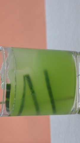 Hawaiian En Cocktail Night 2019 W (12)