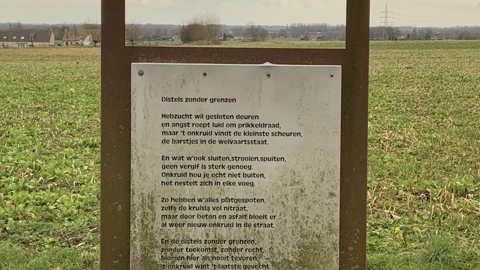 Winterwandeling 2023 W (37)