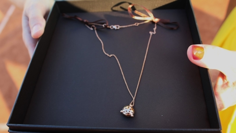 Roseclubtornooi 2025 W (076) Wa