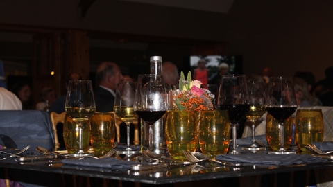 Feest 40 Jarig Bestaan W (062)