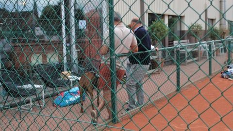 Tennis Tour Enkel W 2023 (44)